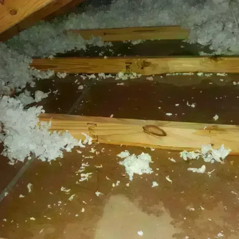 Attic Water Damage in Countryside, VA